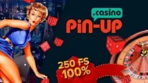 Отзыв об игорном бизнесе Pin Up